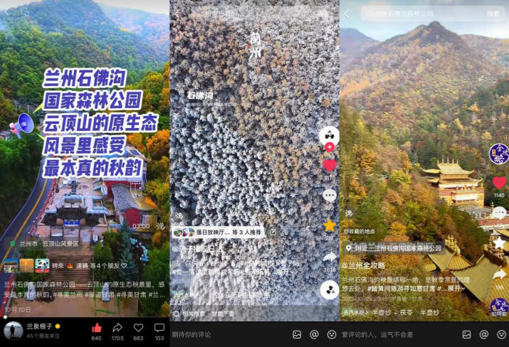 202512191766104418256211.png 图片5.png