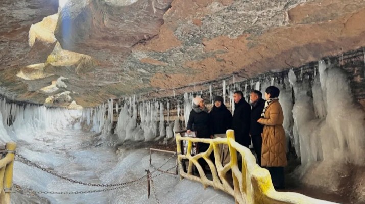 抓运营 促提质 守安全丨马文玫总经理赴庆阳凤凰塬舍、龙栖谷景区调研